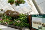 14 Ballarat Botanical Gardens