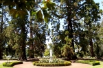 24 Ballarat Botanical Gardens