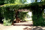 38 Ballarat Botanical Gardens