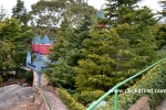 19 Fairy Park, Anakie,  Victoria