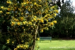 16 Geelong Botanic Gardens