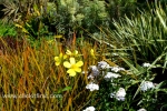 18 Geelong Botanic Gardens
