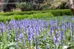24 Geelong Botanic Gardens