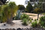 42 Geelong Botanic Gardens