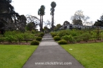 43 Geelong Botanic Gardens
