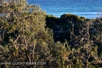 24 - Jervis Bay, NSW