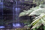 10 Mount Field National Park, Tasmania Photo Gallery