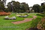 5 Victoria State Rose Garden and Mansion, Werribee