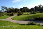 50 Victoria State Rose Garden and Mansion, Werribee
