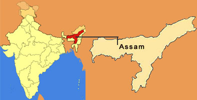 assam-map