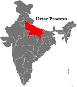 Uttar Pradesh Elections - Latest Updates and Results