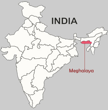 Meghalaya Assembly Elections : Updates, Results
