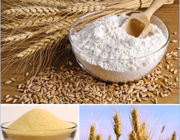 Difference between whole wheat, durum wheat, maida and semolina?